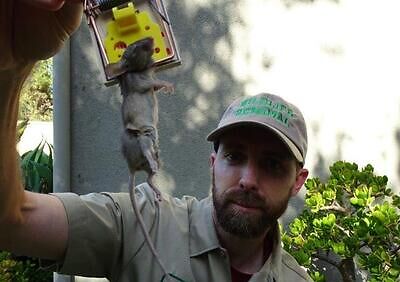 Oklahoma City pest control